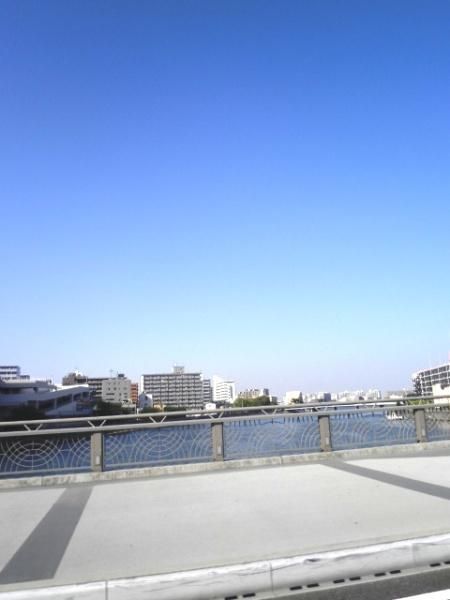 その他　鶴見川（その他）まで1000m