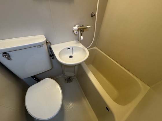 バス・シャワールーム　※別部屋の写真です