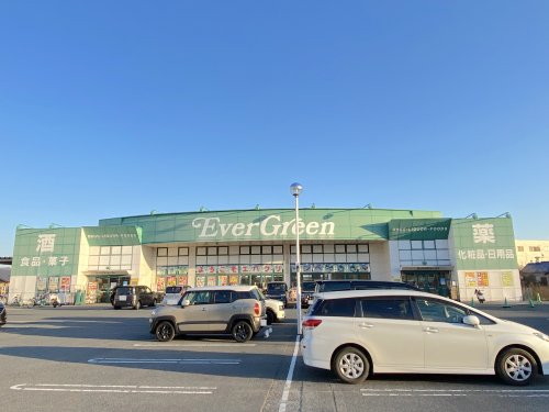 ドラックストア　エバグリーン 岸和田久米田店（ドラッグストア）まで797m