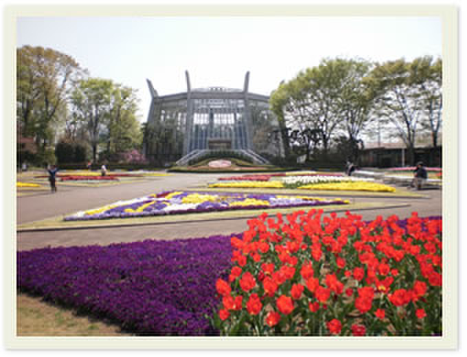公園　川口グリーンセンター（公園）まで10m