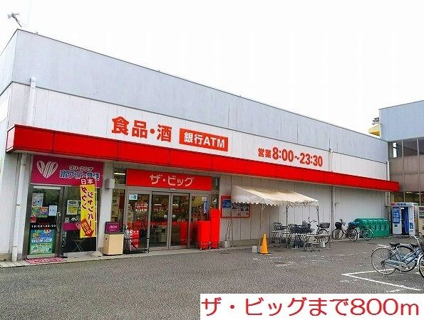 スーパー　ザ・ビッグ（スーパー）まで800m