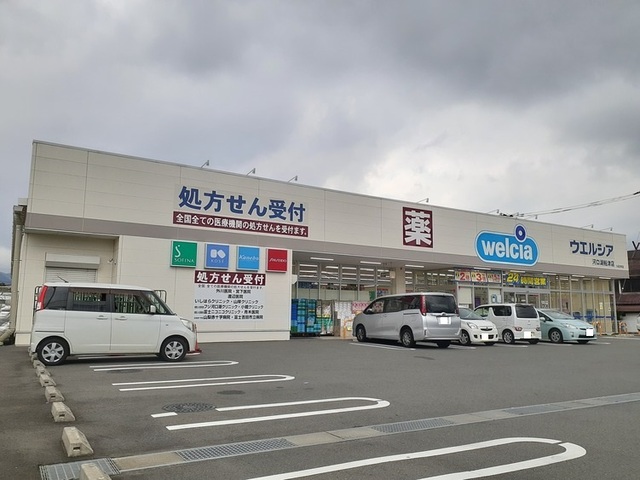 ドラックストア　ウェルシア河口湖船津店（ドラッグストア）まで1000m
