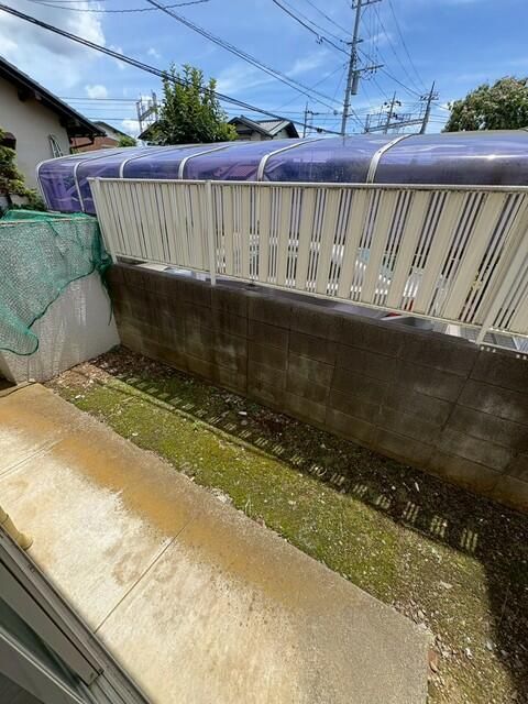 庭