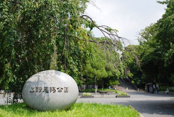 公園　東京都上野恩賜公園（公園）まで800m