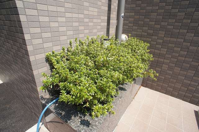 その他　植栽