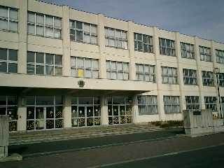 小学校　札幌市立太平南小学校（小学校）まで1205m