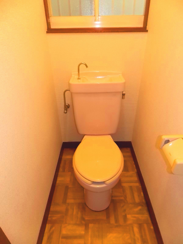 リトルハイツIIのトイレ写真