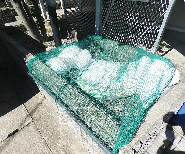 庭