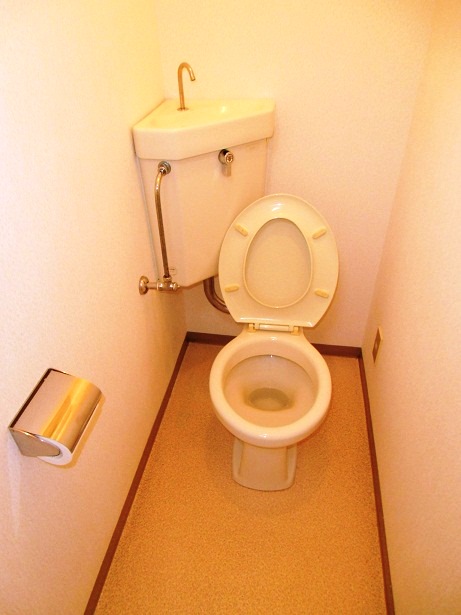 アイザワコーポのトイレ写真