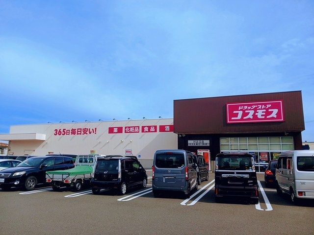 【四国中央市上分町のアパートのドラックストア】