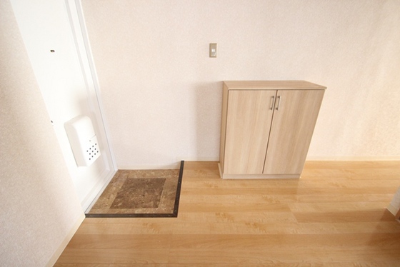 玄関　※別部屋の写真です