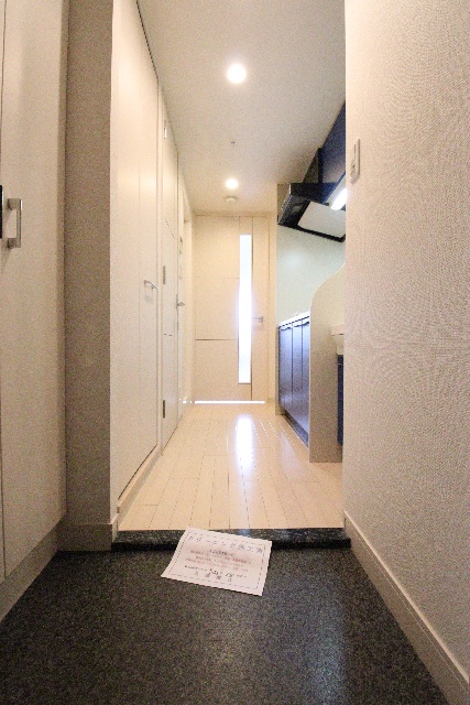 玄関　※別室の参考写真の為、現況優先です。