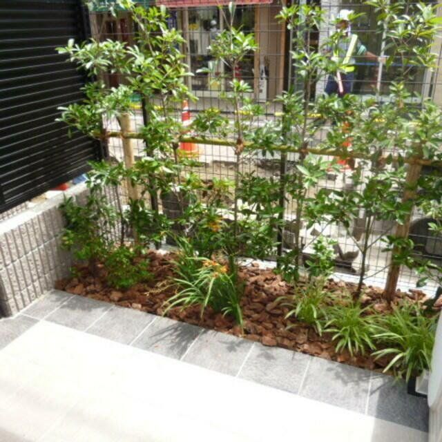 バルコニー　物件画像