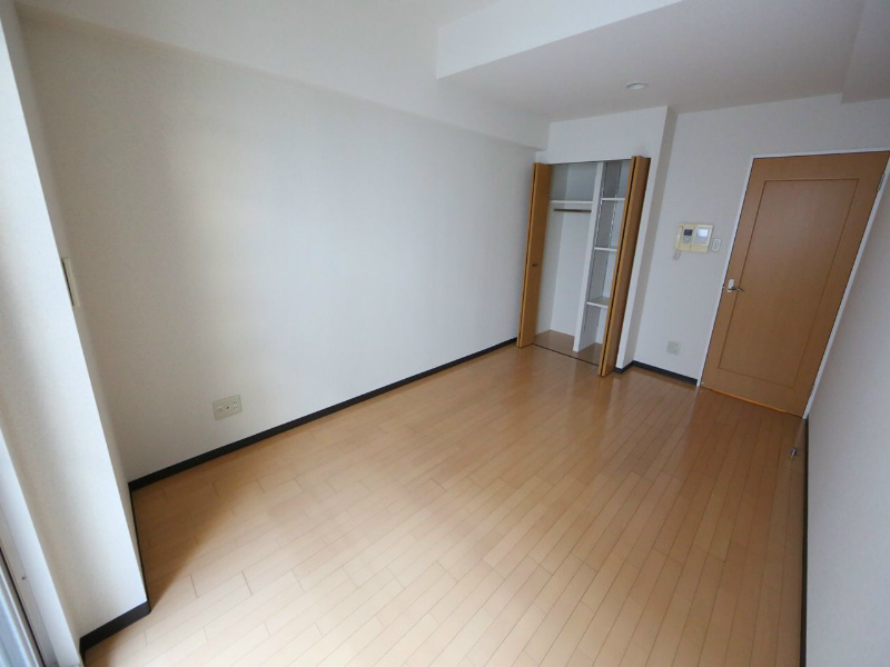 居室・リビング　洋室8.6帖　クローゼット（収納充実してます）