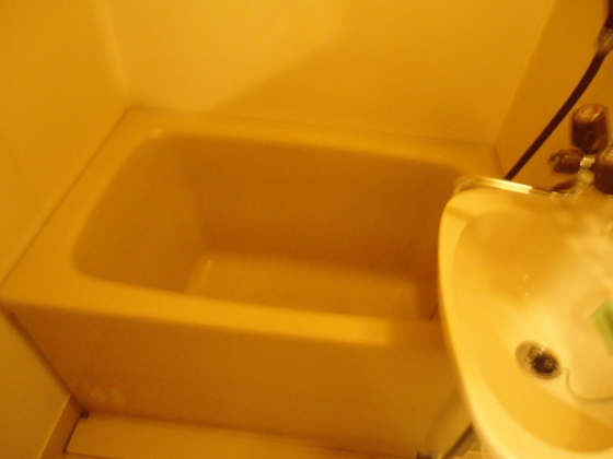 バス・シャワールーム　※別号室の写真です