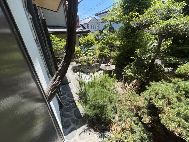 庭