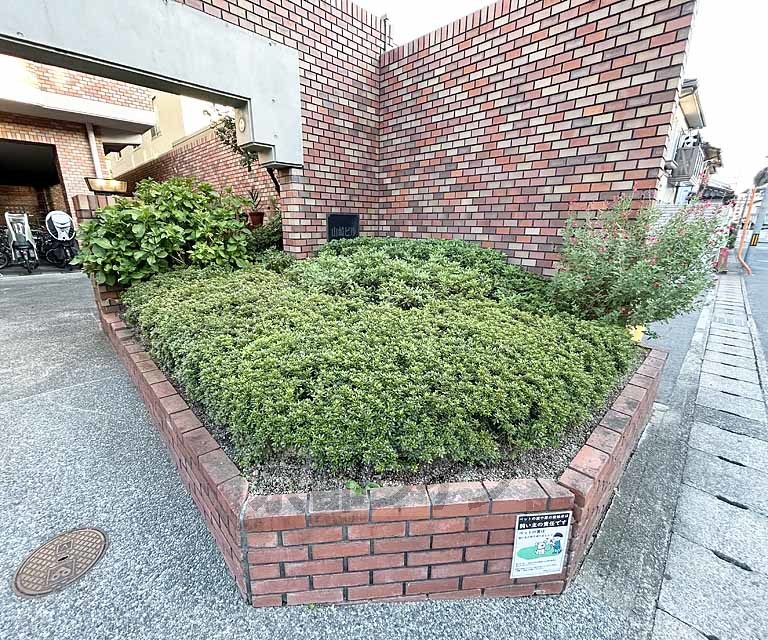 庭