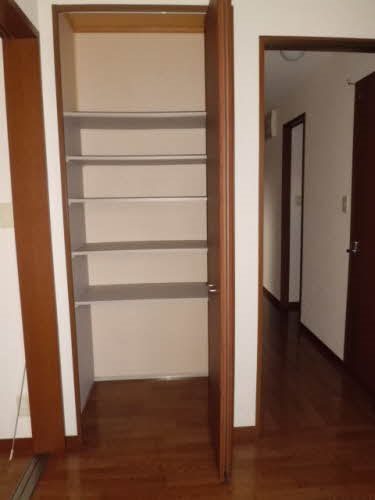収納　※同タイプ反転間取りの別部屋写真になります。