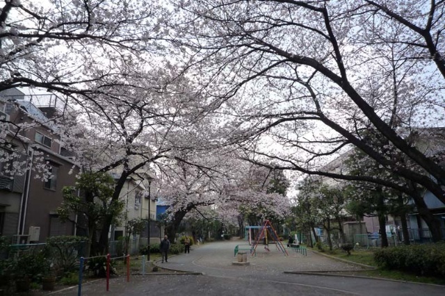 公園　旧呑川緑地（公園）まで1941m
