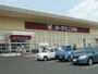 スーパー　ヨークベニマル新田東店（スーパー）まで610m