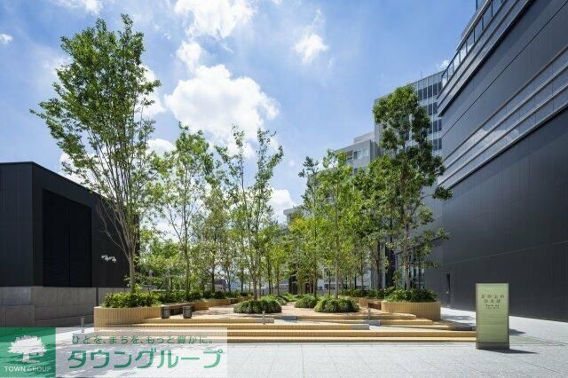 庭