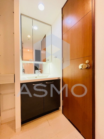 洗面設備　同マンション別部屋参考写真