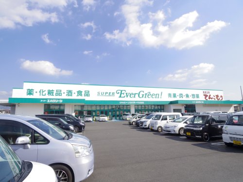 スーパー　スーパーエバグリーン田原本店（スーパー）まで880m