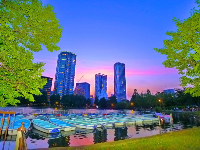 公園　物件（公園）まで2200m