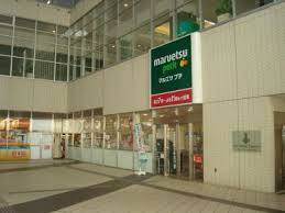 スーパー　マルエツプチ東池袋駅前店（スーパー）まで16m