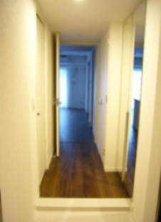 玄関　別部屋参考写真
