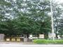 公園　つつじケ丘公園（公園）まで1294m