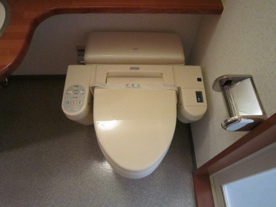 トイレ　※別号室の写真です