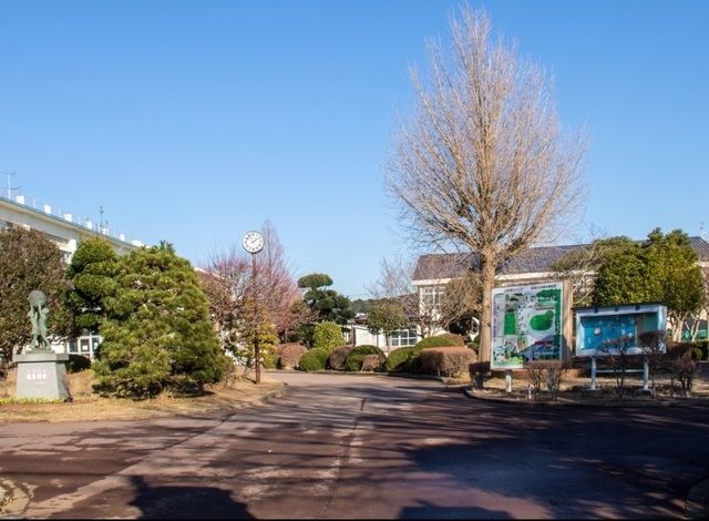 小学校　成田市立三里塚小学校（小学校）まで678m
