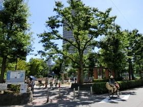 公園　公園（公園）まで250m
