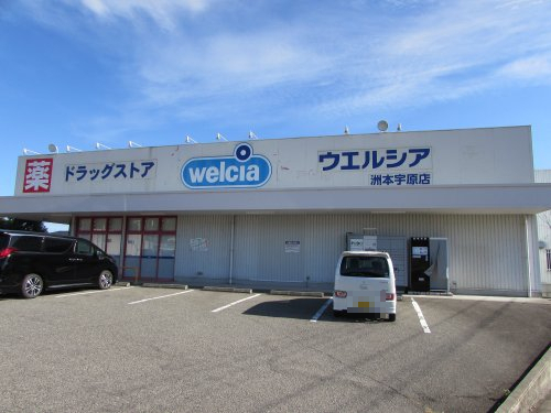 ドラックストア　ウエルシア洲本宇原店（ドラッグストア）まで404m