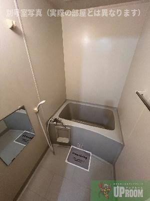 フロイデ山本の風呂写真