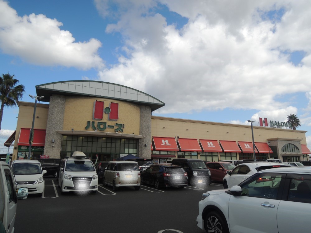 スーパー　ハローズ当新田店（スーパー）まで698m