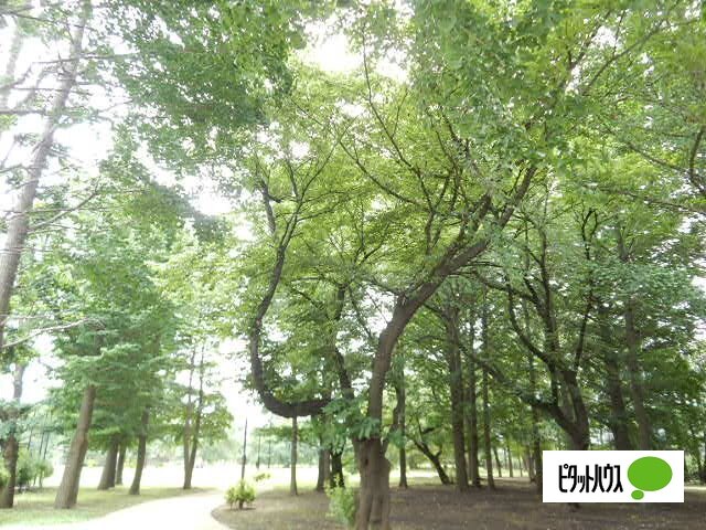 【小金井市梶野町のアパートの公園】