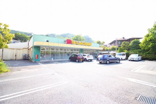 ドラックストア　フィットケアマート鎌倉今泉店（ドラッグストア）まで288m