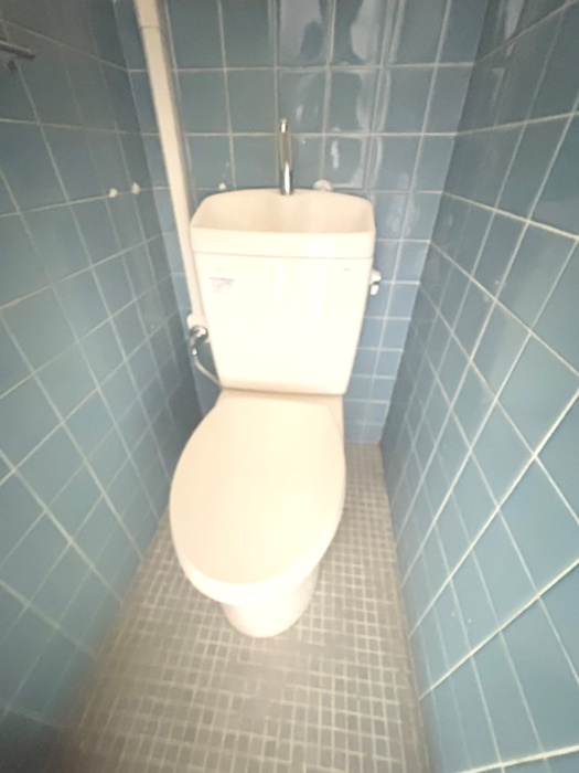 グレイスビルのトイレ写真