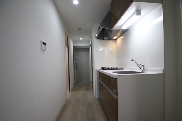 玄関　※別室の参考写真の為、現況優先です。