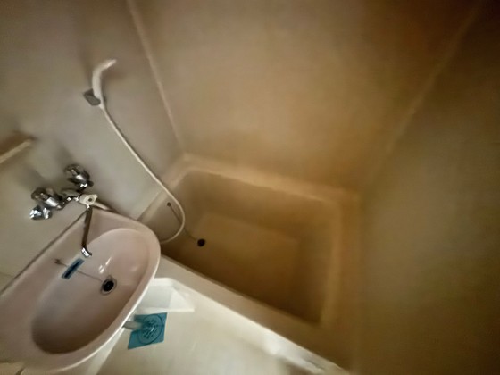 バス・シャワールーム　※別部屋の写真です