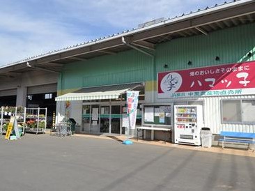 スーパー　JA横浜 「ハマッ子」直売所 中里店（スーパー）まで479m