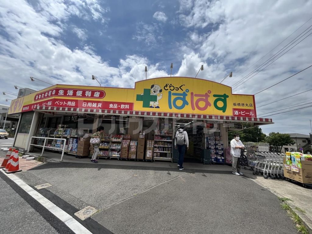 ドラックストア　どらっぐぱぱす板橋徳丸店（ドラッグストア）まで420m