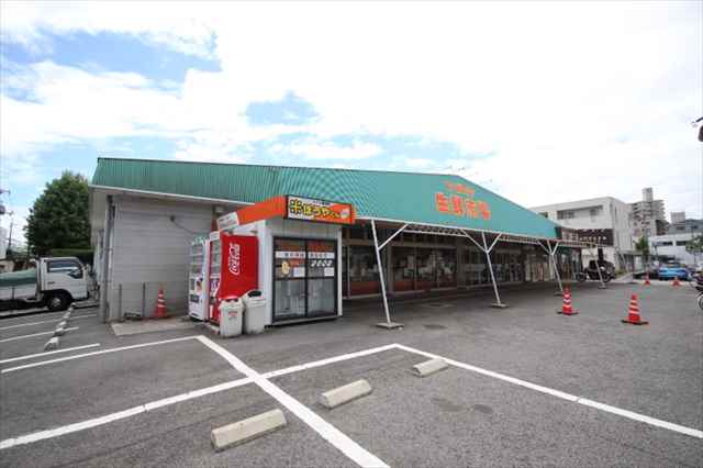 スーパー　下緑井生鮮市場（スーパー）まで1584m