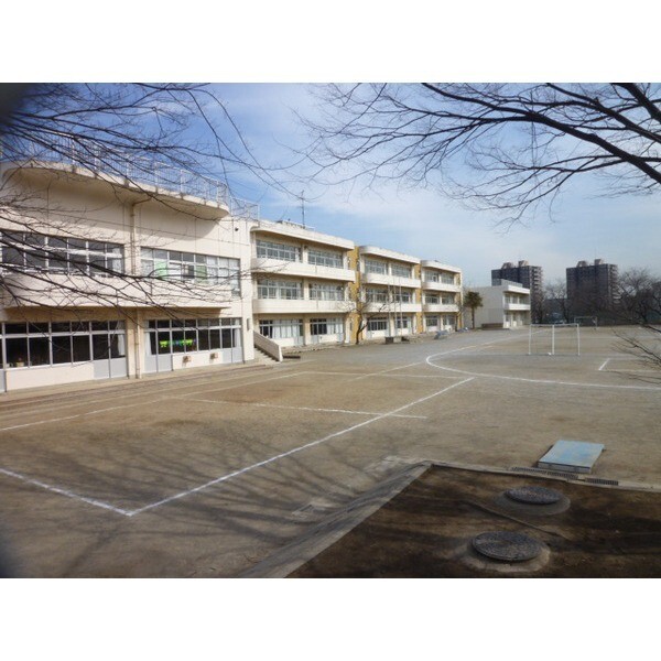 小学校　富士見市立針ケ谷小学校（小学校）まで734m
