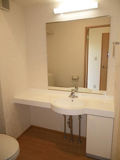 洗面設備　トイレと洗面が同じのパウダールームタイプ。