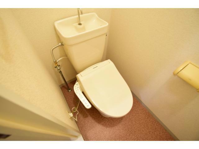 トイレ　他号室の写真になります。