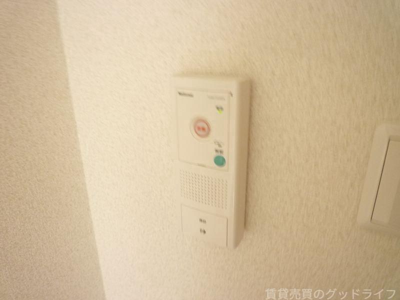 ソレイユ・ルーチェのその他写真
