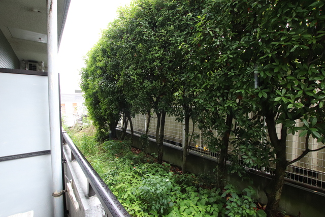 眺望　バルコニーからの景色☆彡